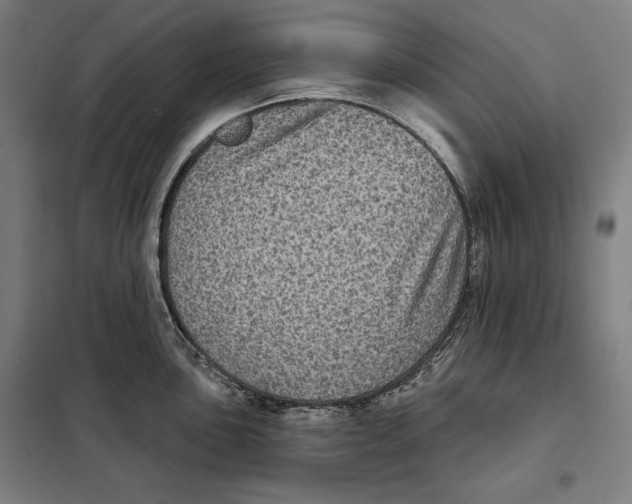 X0000097891051200804041305