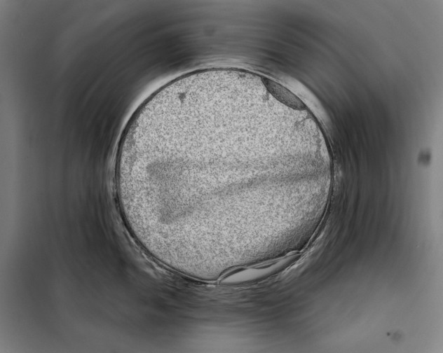 X0000097891052200804041305