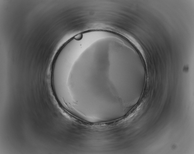 X0000097891053200804041305