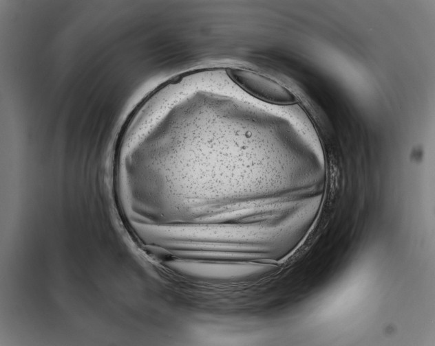 X0000097891054200804041305