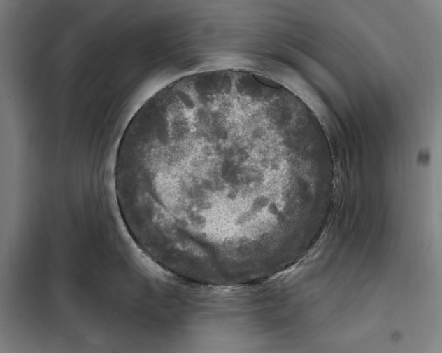 X0000097891055200804041305