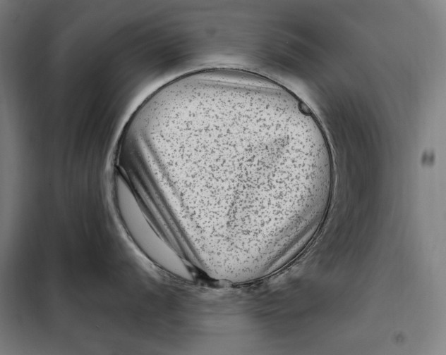 X0000097891056200804041305