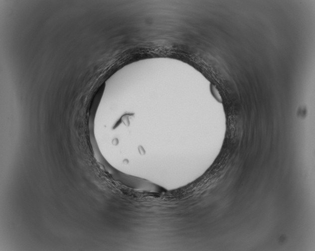 X0000097891057200804041305