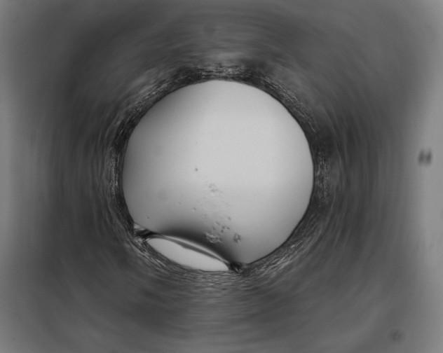 X0000097891058200804041305