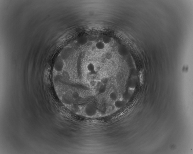 X0000097891059200804041305