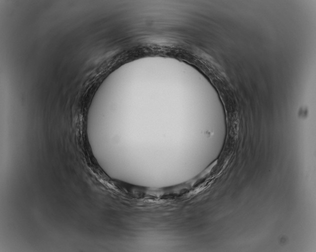 X0000097891061200804041305