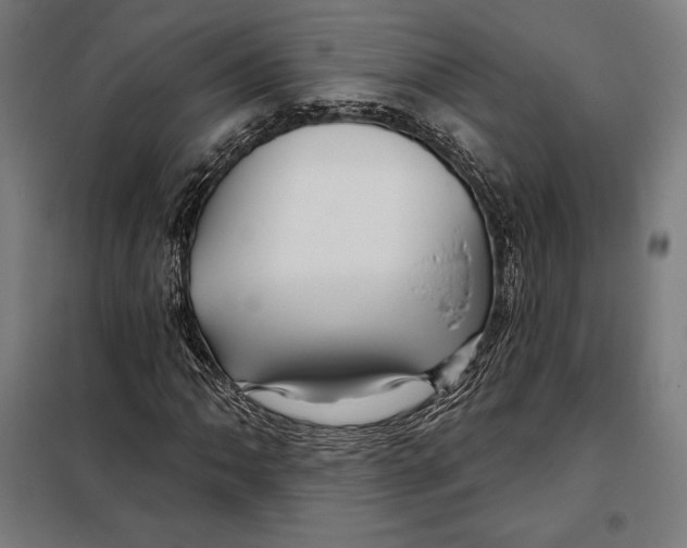 X0000097891062200804041305