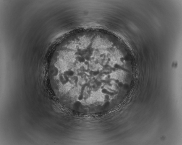 X0000097891063200804041305