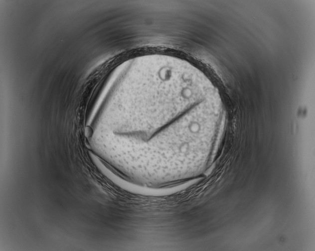 X0000097891064200804041305