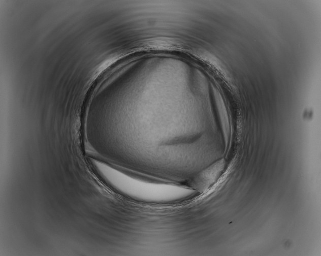 X0000097891065200804041305