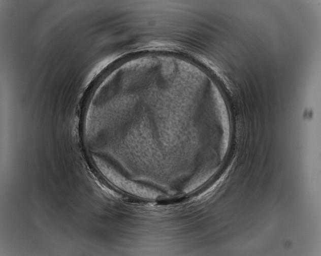 X0000097891066200804041305