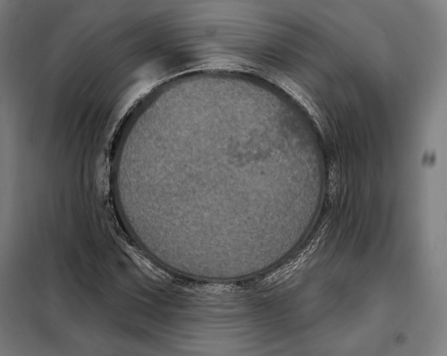 X0000097891067200804041305