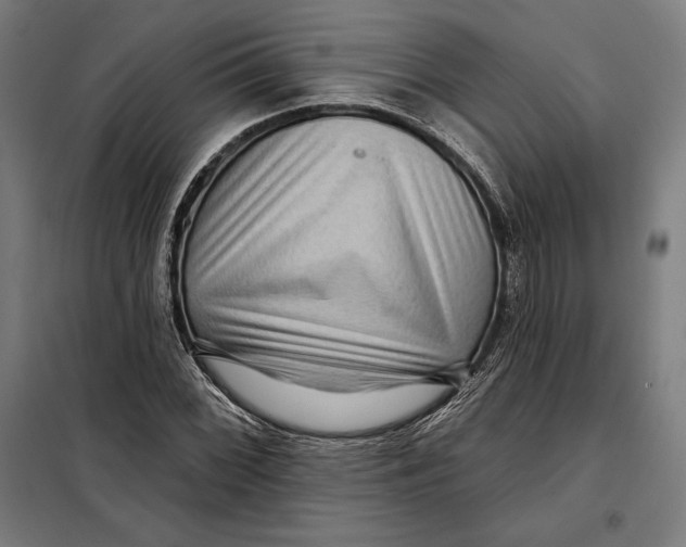 X0000097891068200804041305