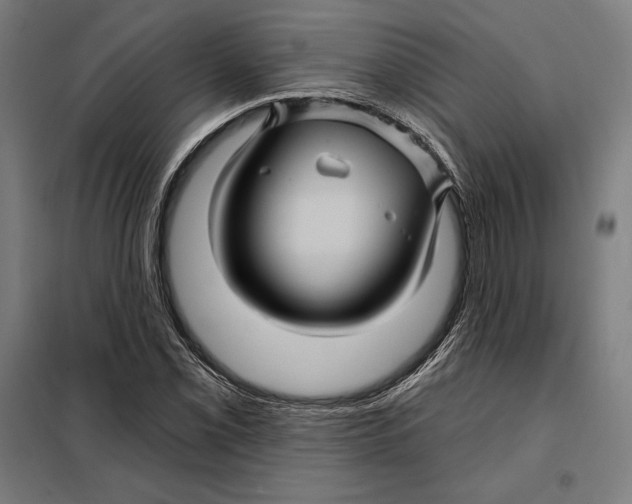 X0000097891069200804041305