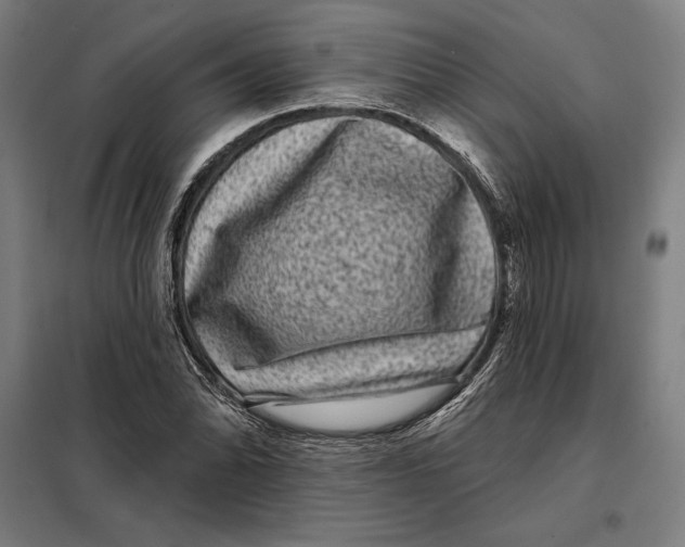 X0000097891070200804041305