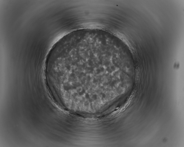 X0000097891071200804041305