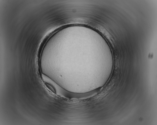 X0000097891072200804041305