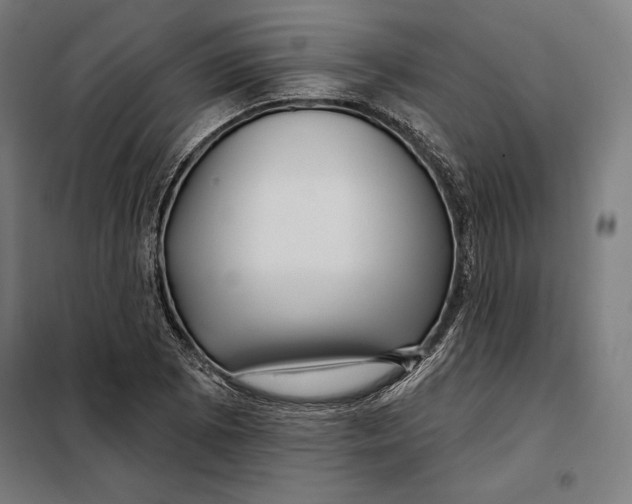 X0000097891073200804041305