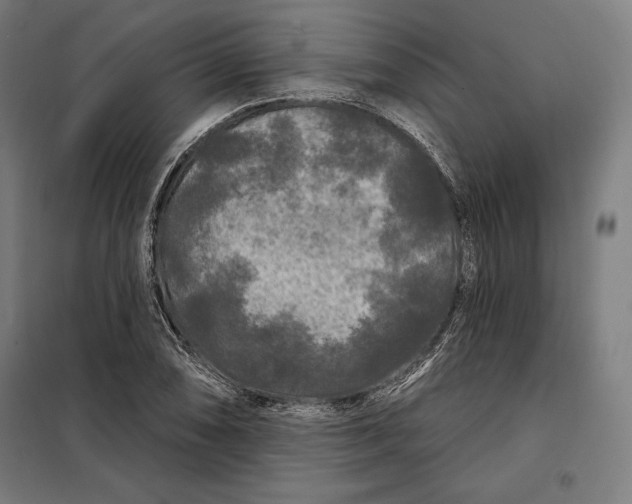 X0000097891074200804041305