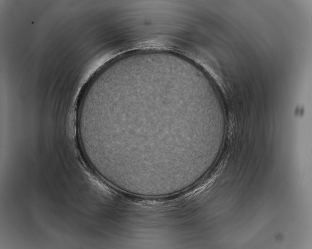 X0000097891075200804041305