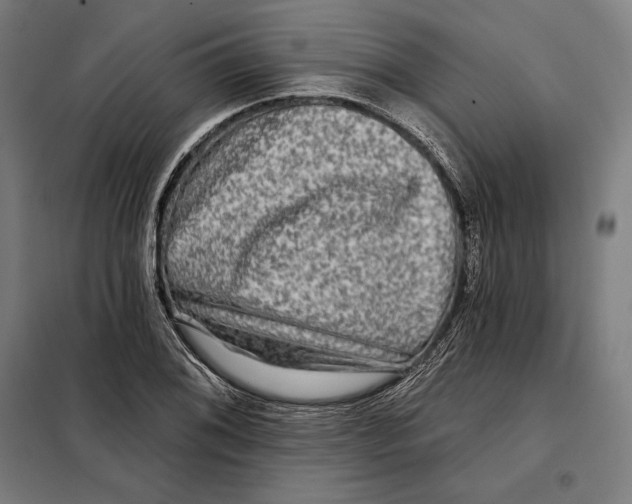 X0000097891076200804041305