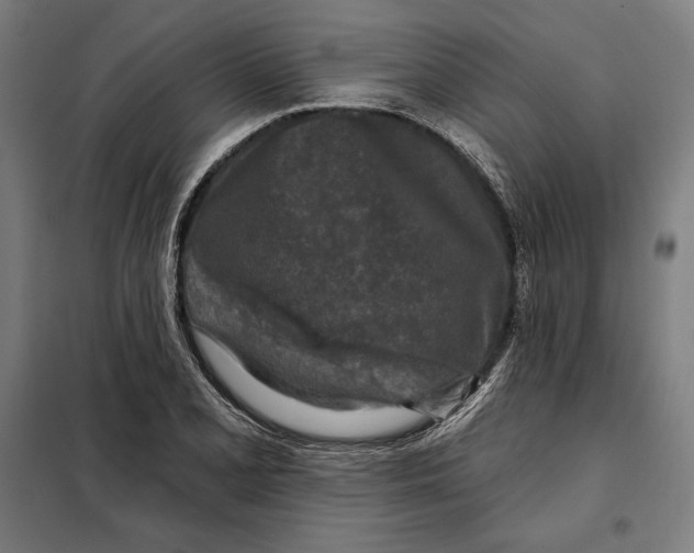 X0000097891077200804041305