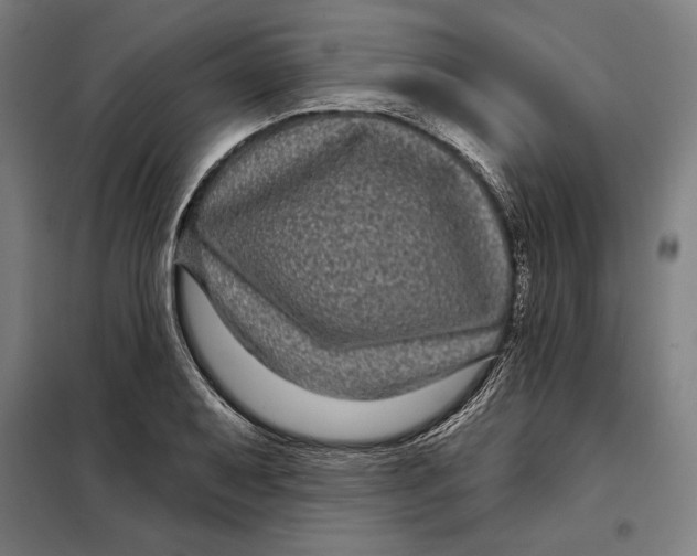 X0000097891079200804041305