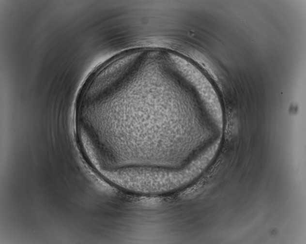 X0000097891080200804041304