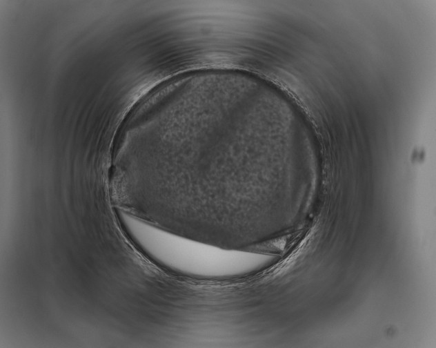 X0000097891081200804041304