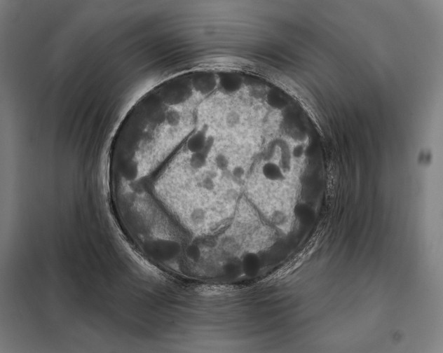 X0000097891083200804041304