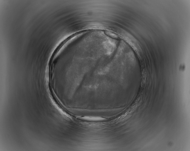 X0000097891084200804041304