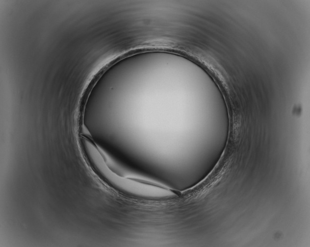 X0000097891085200804041304