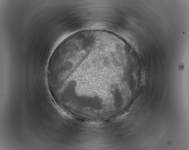 X0000097891086200804041304