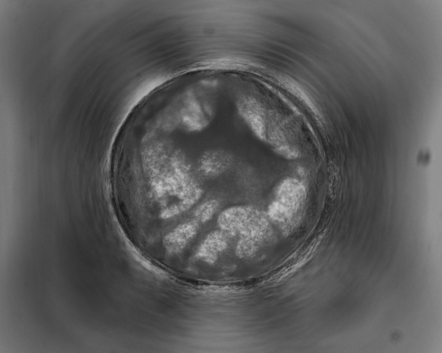 X0000097891087200804041304