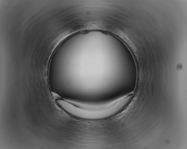 X0000097891089200804041304