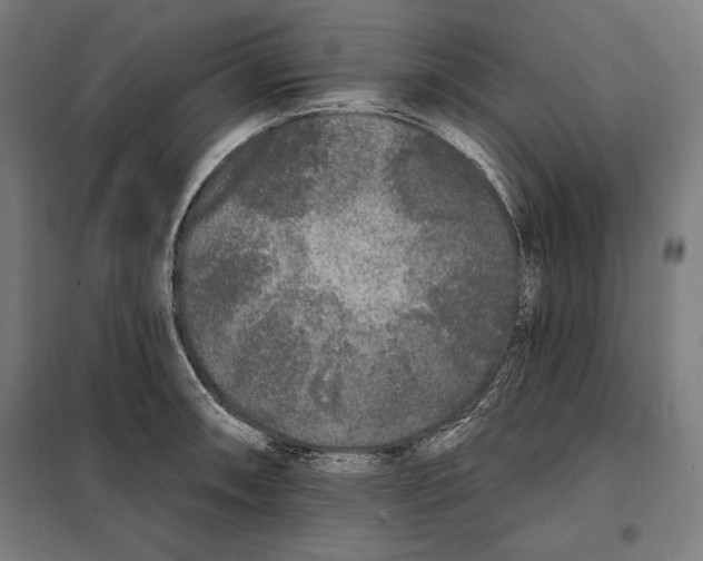 X0000097891090200804041304