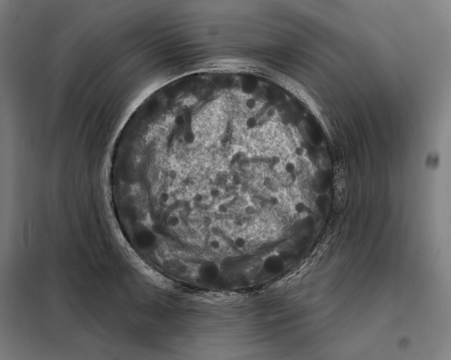 X0000097891091200804041304