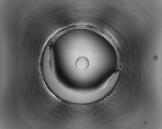 X0000097891092200804041304