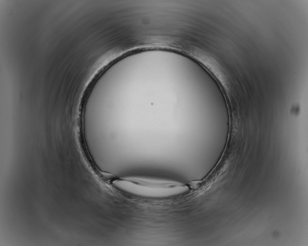 X0000097891093200804041304