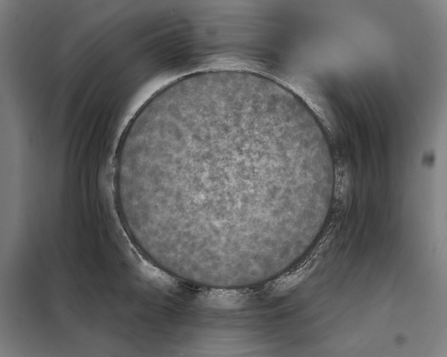 X0000097891094200804041304