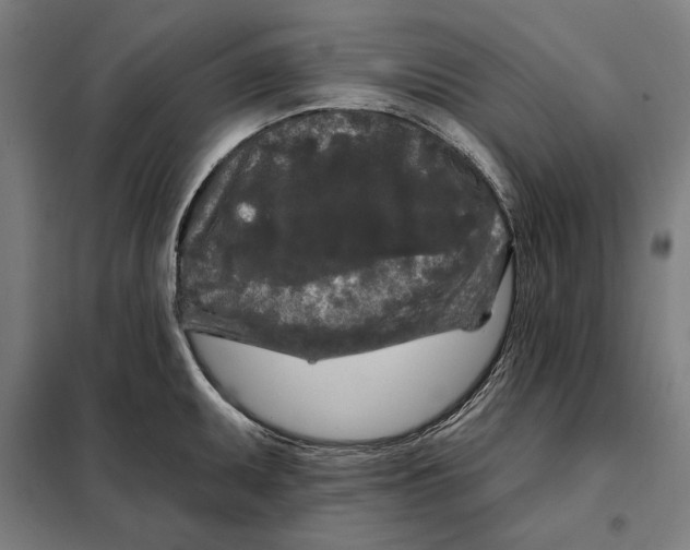 X0000097891095200804041304