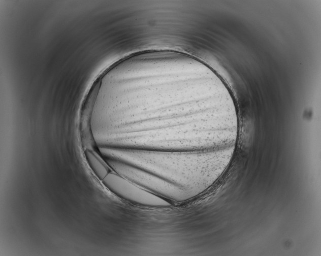 X0000097891096200804041304