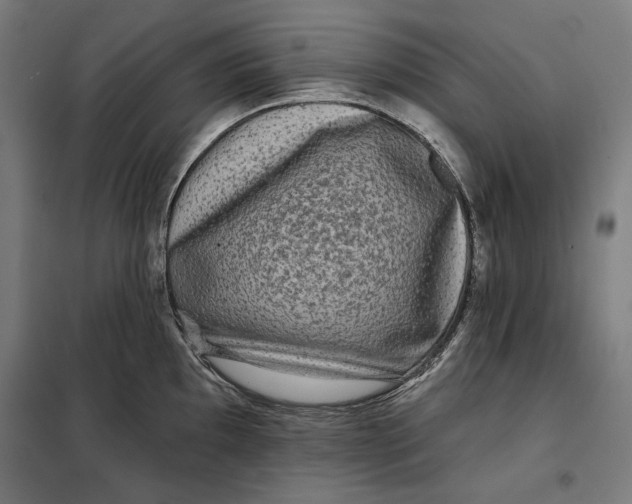 X0000097891097200804041304