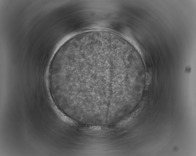 X0000097891098200804041304