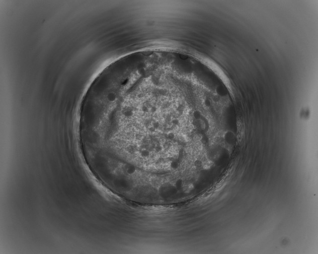 X0000097891099200804041304