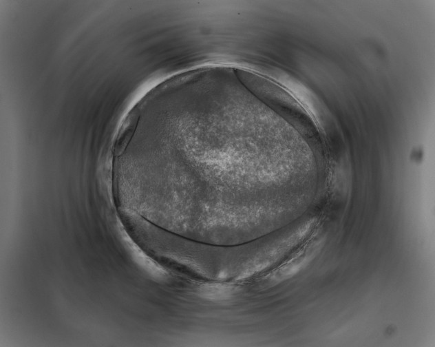 X0000097891100200804041304