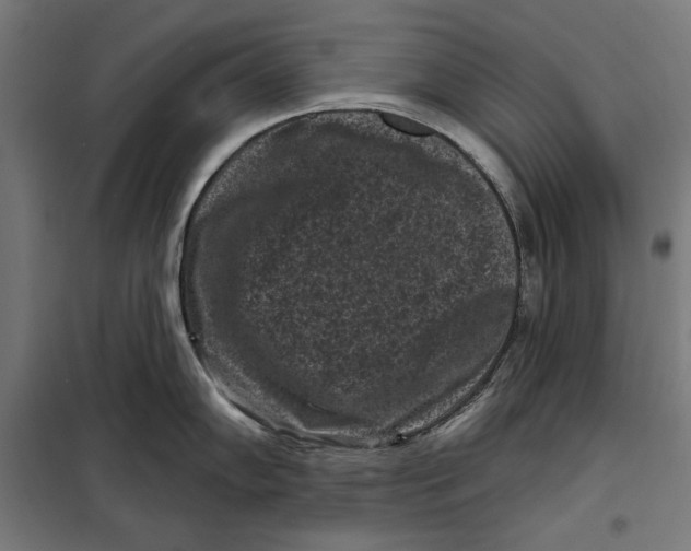 X0000097891102200804041304