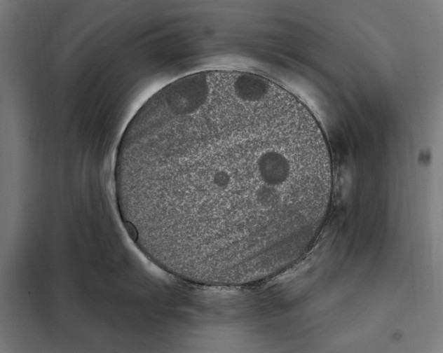 X0000097891103200804041304