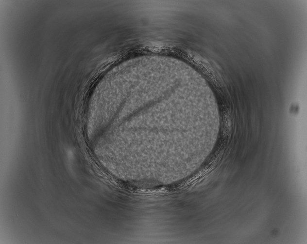 X0000097891105200804041303