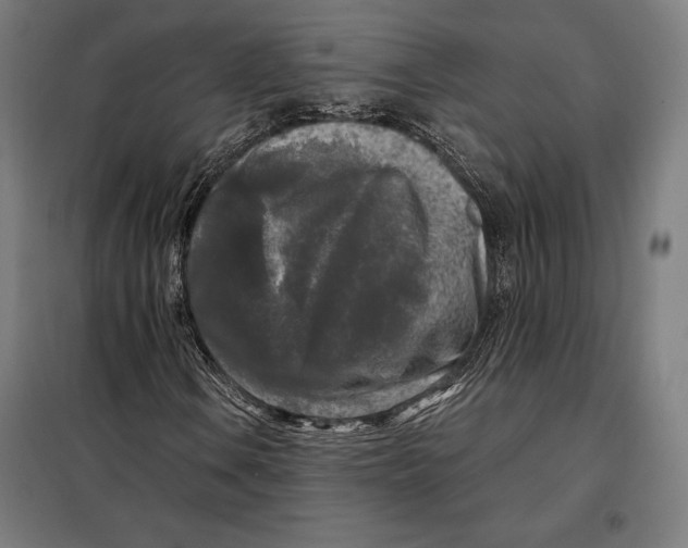 X0000097891106200804041304